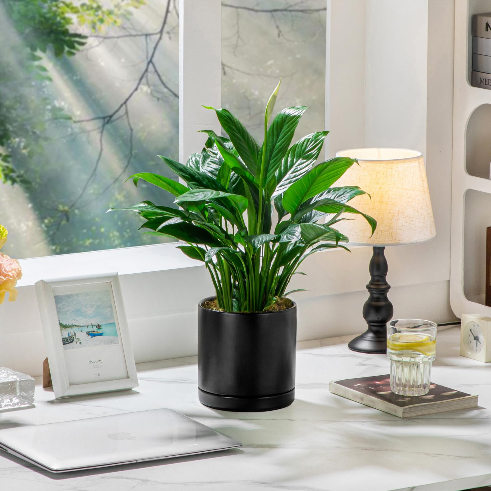 vancasso size scale with hand holding pot showing real-size reference and fit