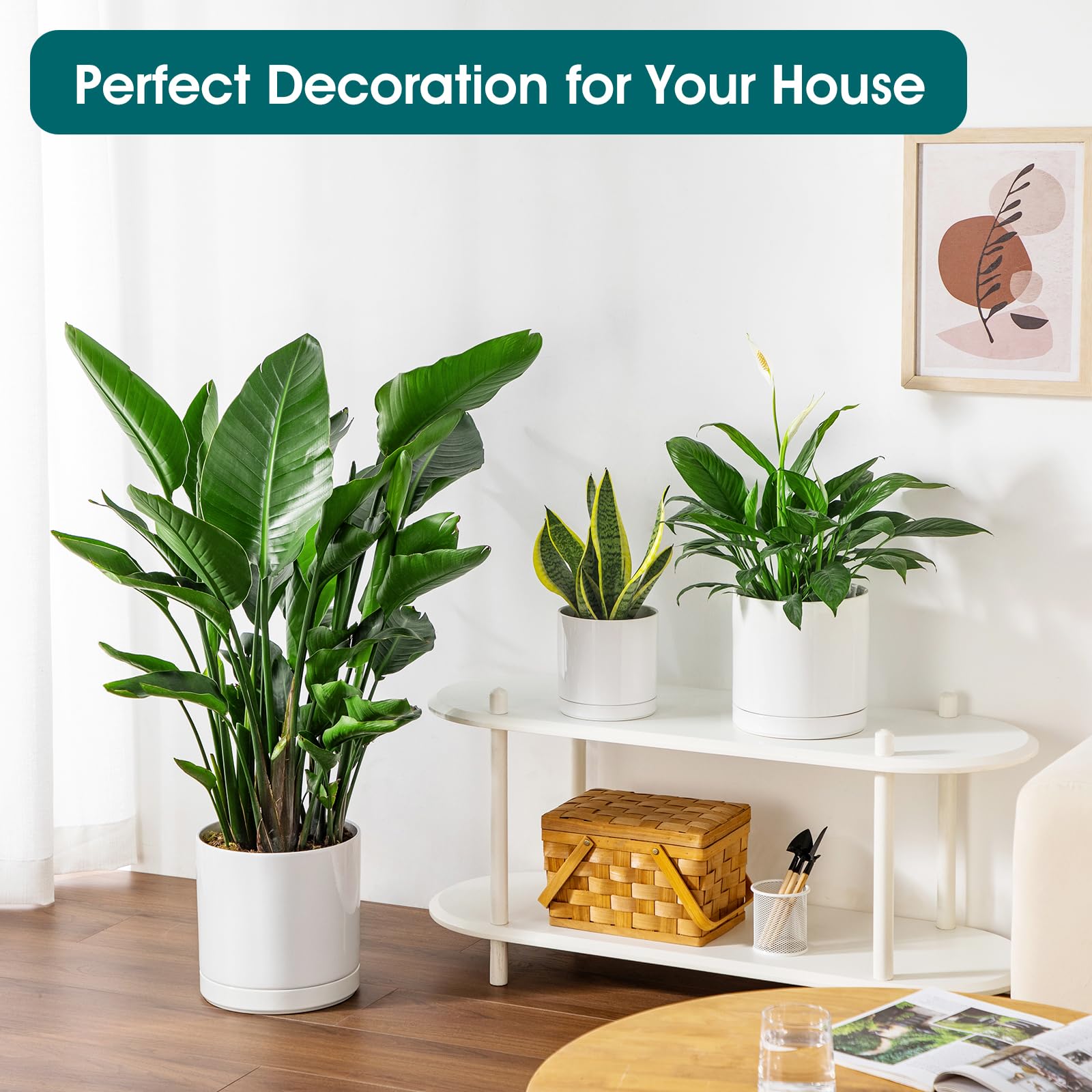 vancasso planters next to a notebook showing scale for desk or tabletop suitability