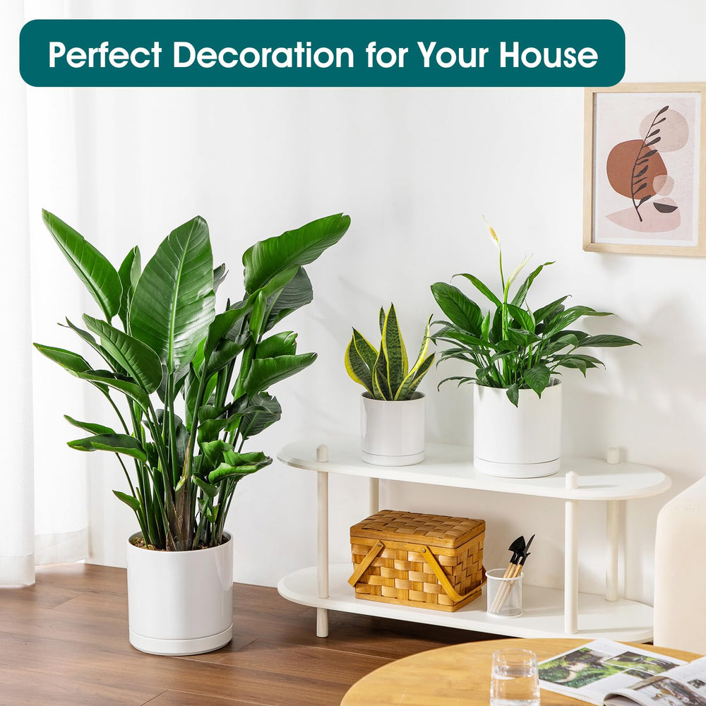 vancasso planters next to a notebook showing scale for desk or tabletop suitability