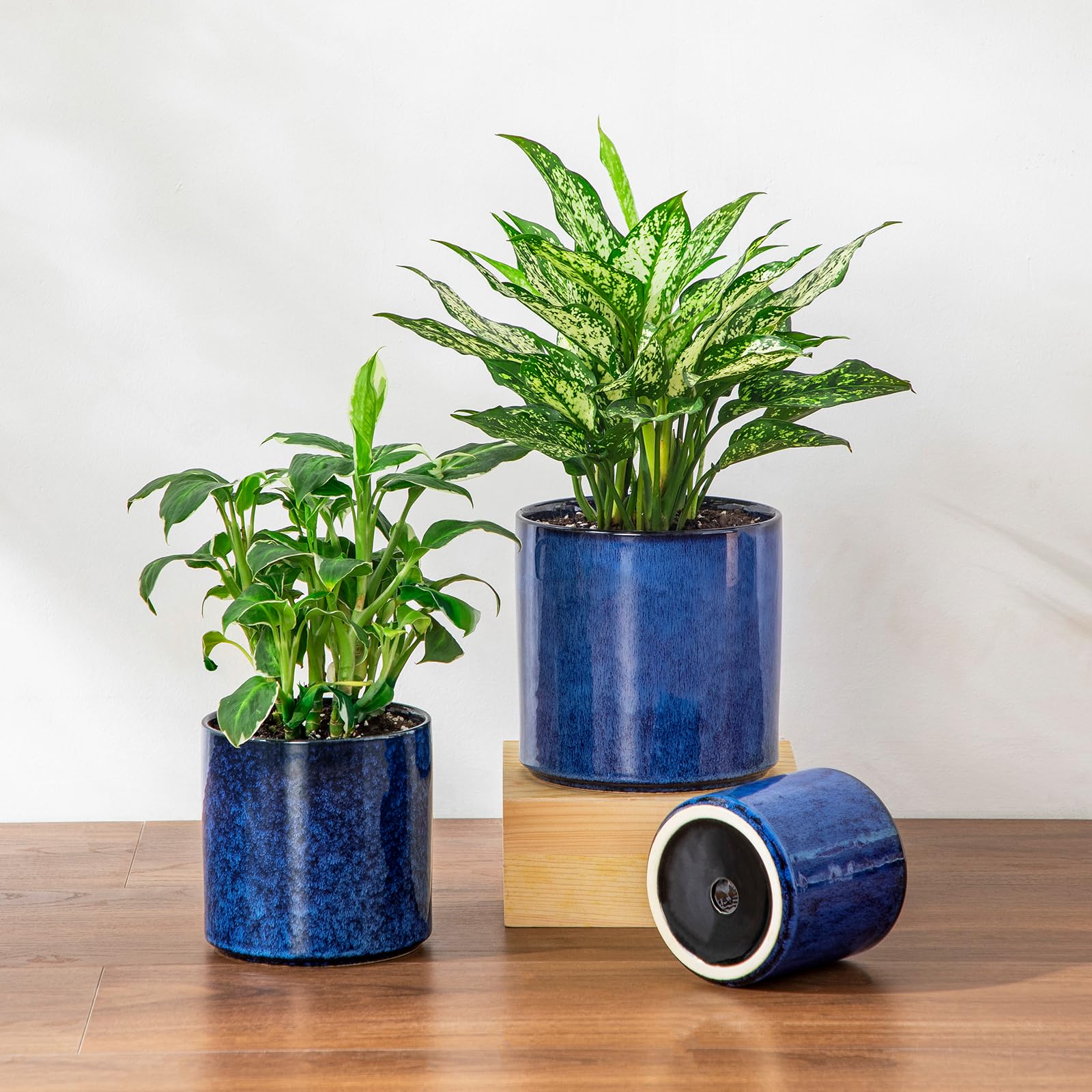 vancasso size comparison grouping showing all three pot sizes for choosing the right plant benefit clearer selection