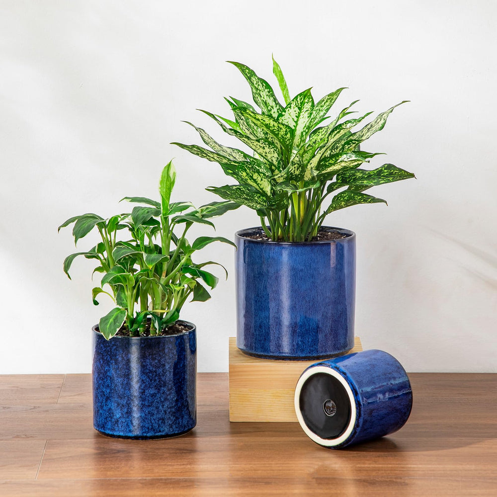 vancasso size comparison grouping showing all three pot sizes for choosing the right plant benefit clearer selection