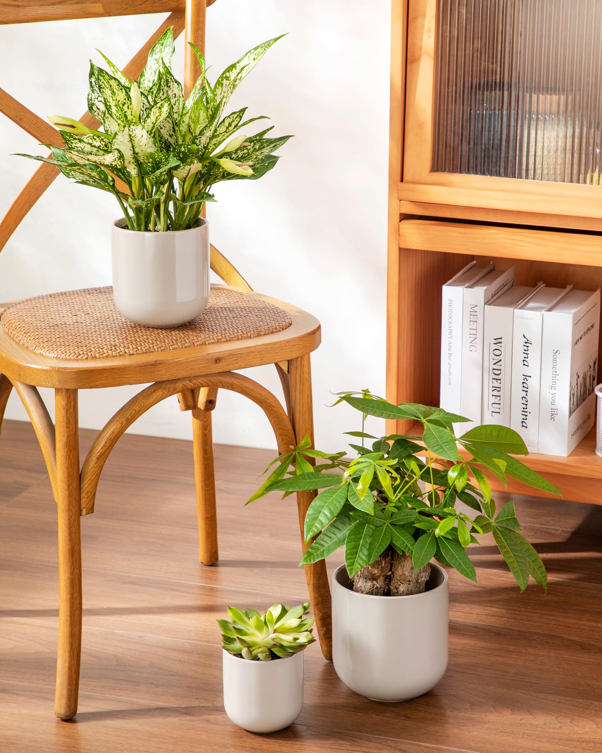 vancasso hand holding medium pot to display scale for plant selection and sizing clarity