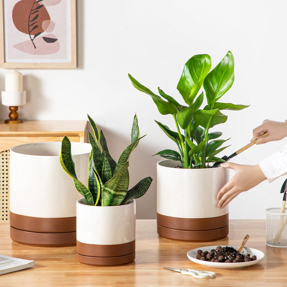 vancasso visual size comparison of all three planters to choose correct pot capacity