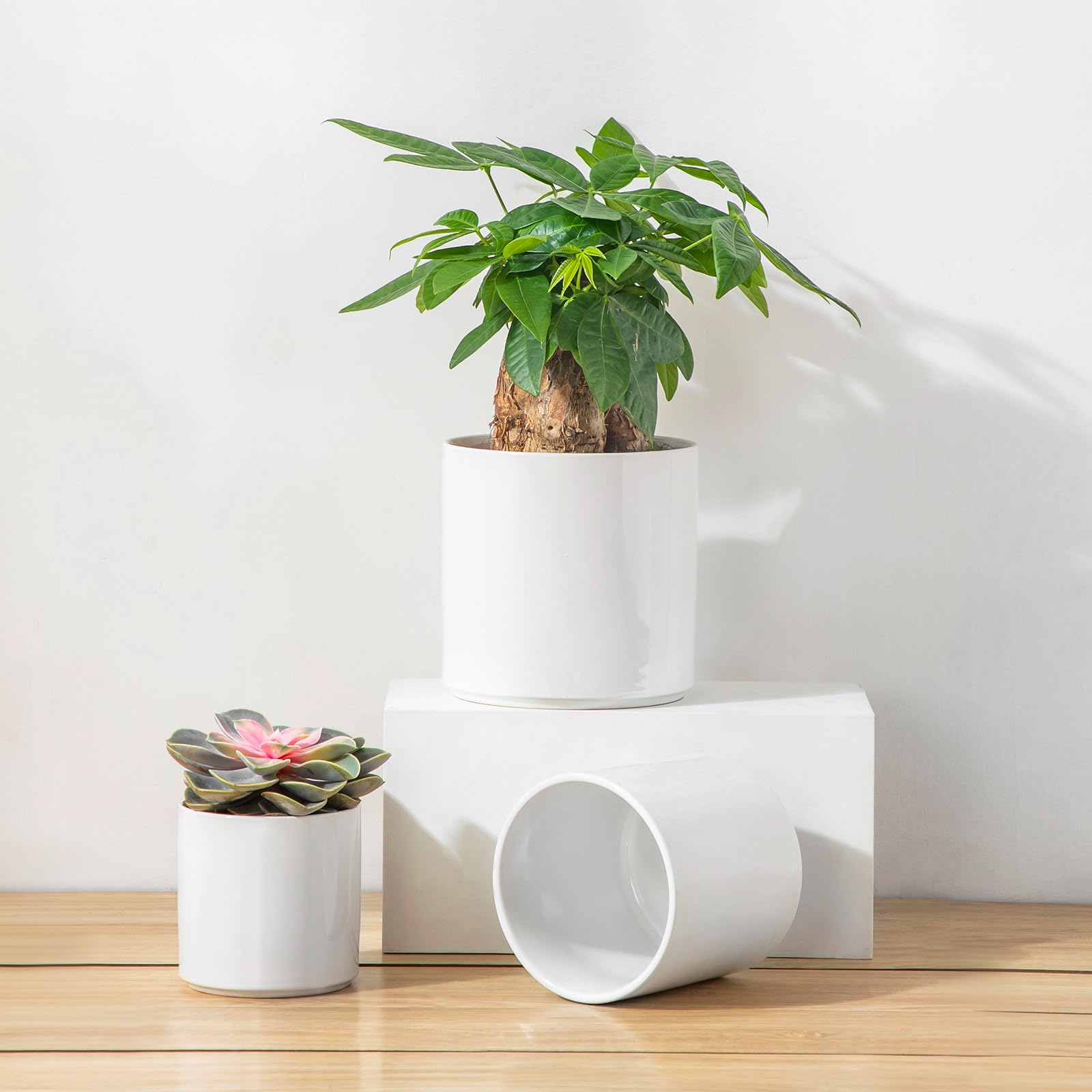 vancasso hand next to pots showing scale and convenient planter sizes