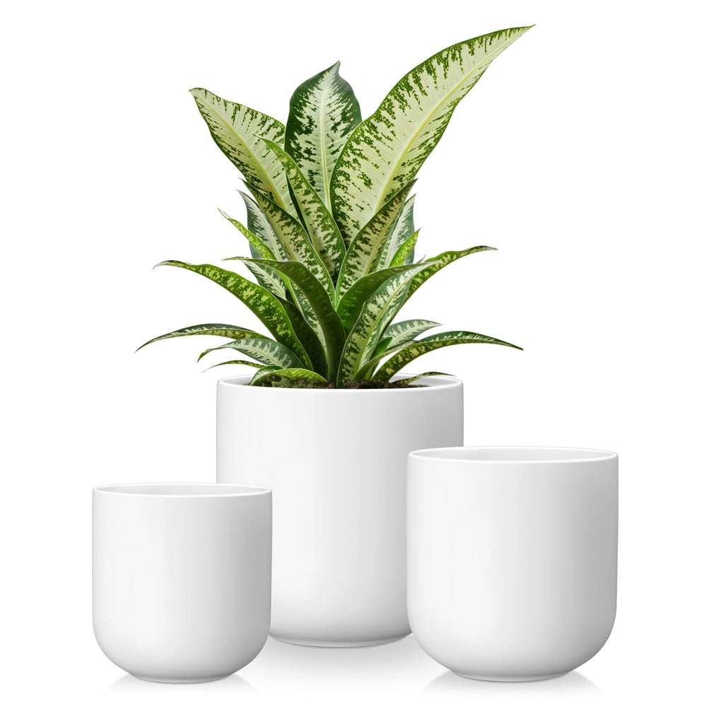 vancasso front view of three white ceramic pots, clean modern look