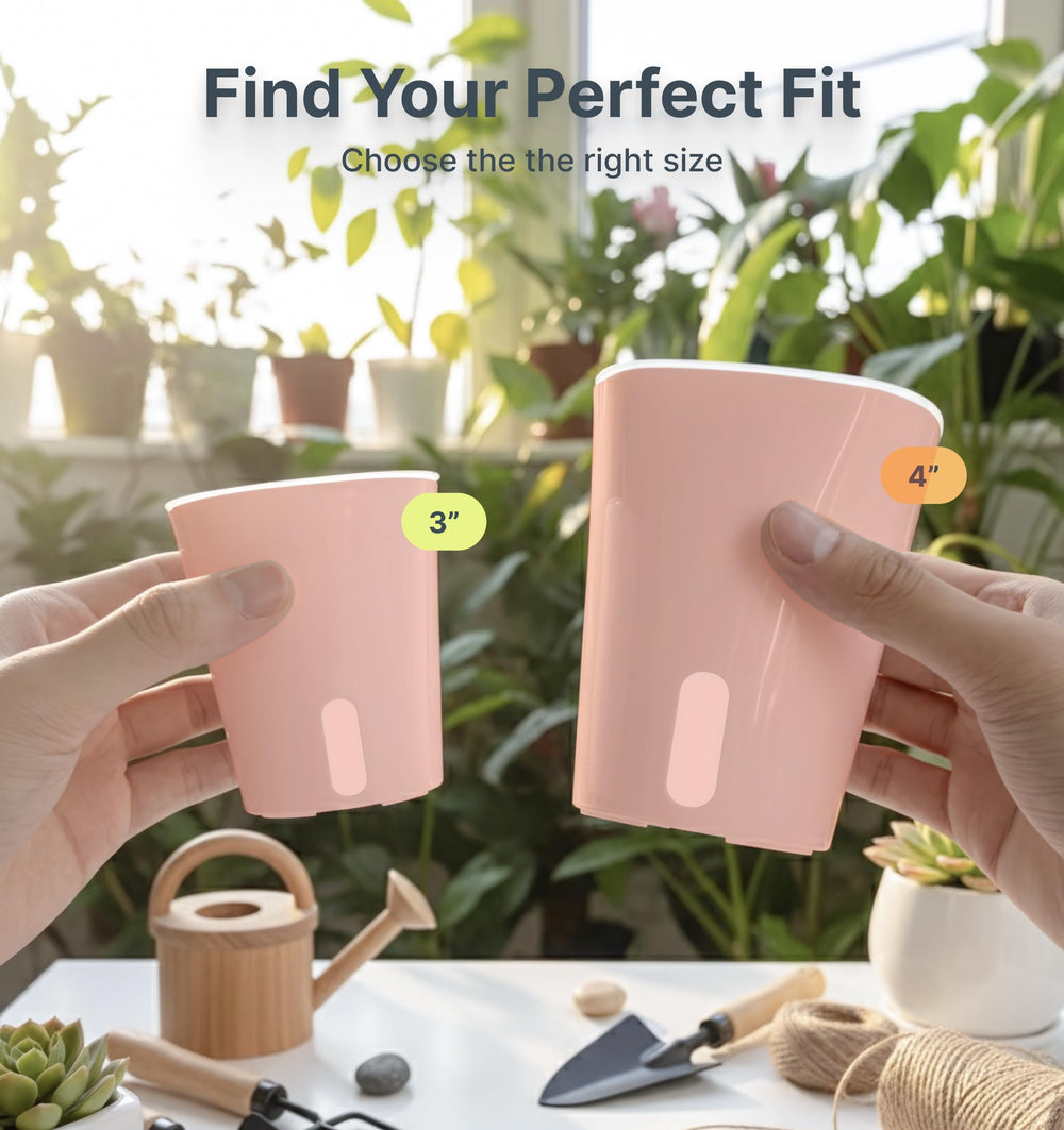Vandorelle clear inner cup closeup revealing root visibility and monitoring benefit