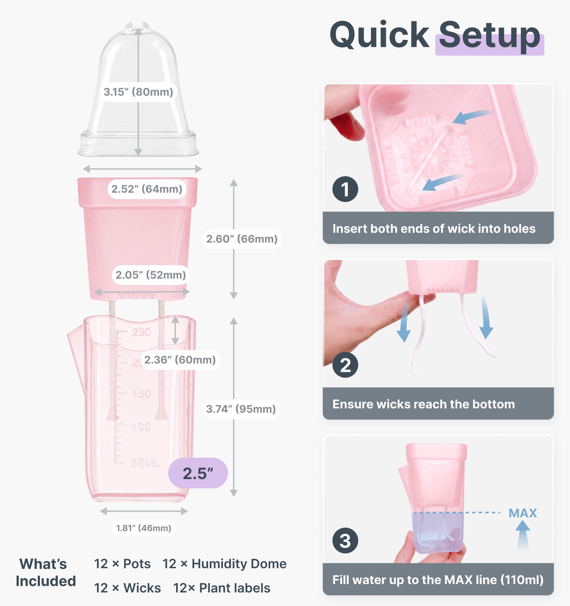 Vandorelle clear inner cup revealing developing roots and easy visual monitoring benefit