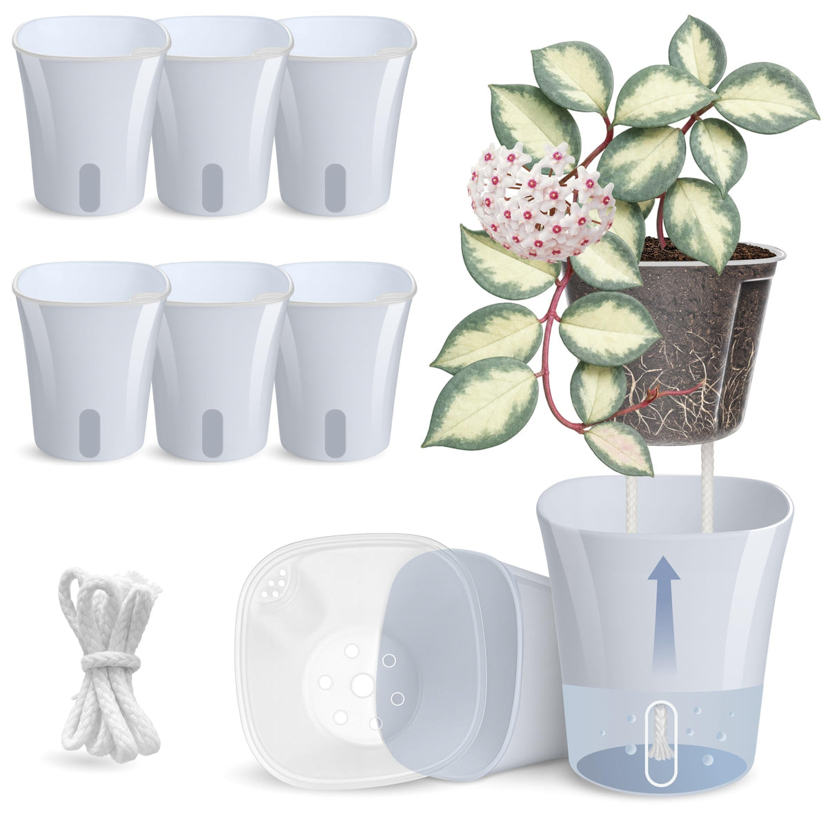 Vandorelle front view of blue-grey 8-pack showing compact planters and neat display