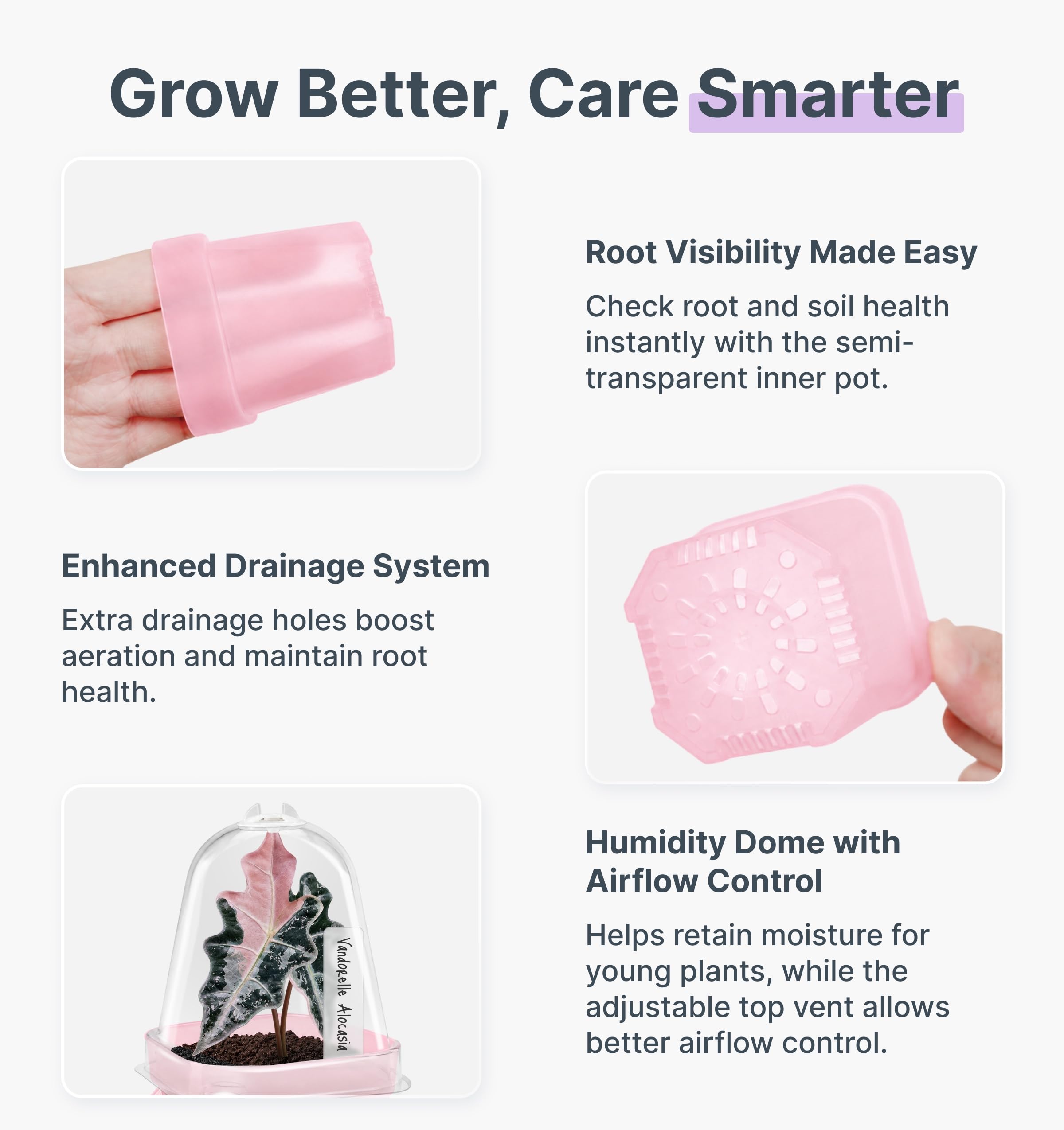 Vandorelle lifestyle windowsill propagation showing compact kit saving space and simplifying care