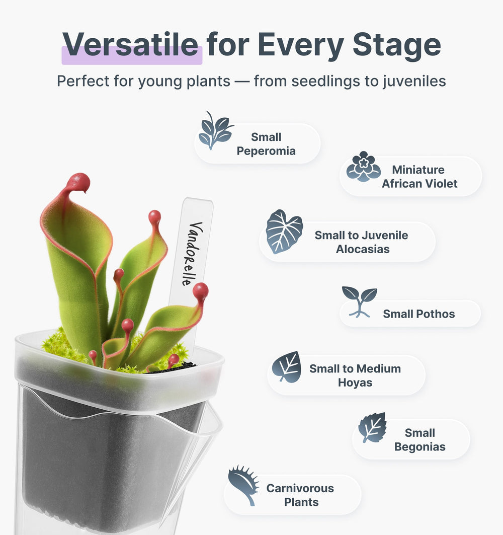 Vandorelle clear inner cup revealing roots and water level for easy monitoring
