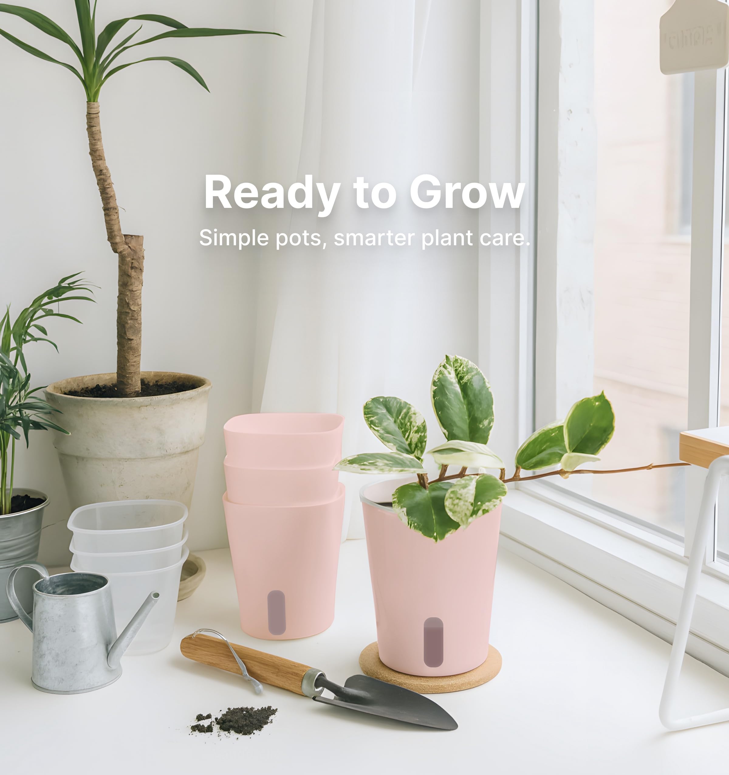 Vandorelle size comparison in hand illustrating compact footprint for small spaces