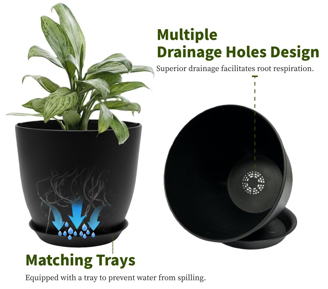 Vanslogreen view of drainage holes illustrating better root health
