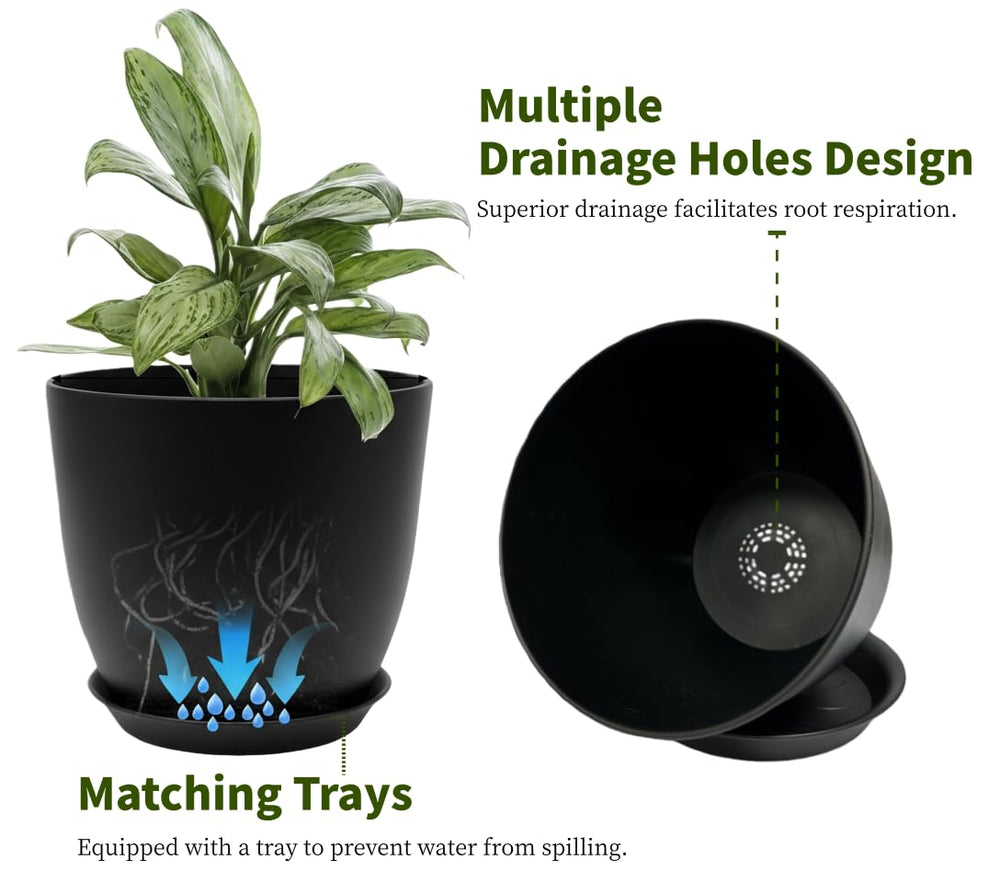 Vanslogreen view of drainage holes illustrating better root health