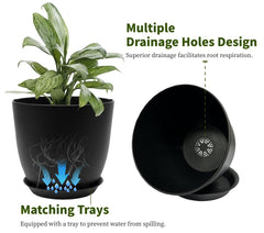 Vanslogreen view of drainage holes illustrating better root health