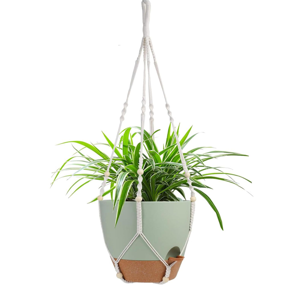 Vanslogreen front view of hanging planter showing complete set and easy installation benefit