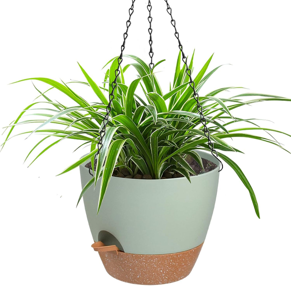 Vanslogreen front view of 12-inch hanging planter showing clean profile and green finish