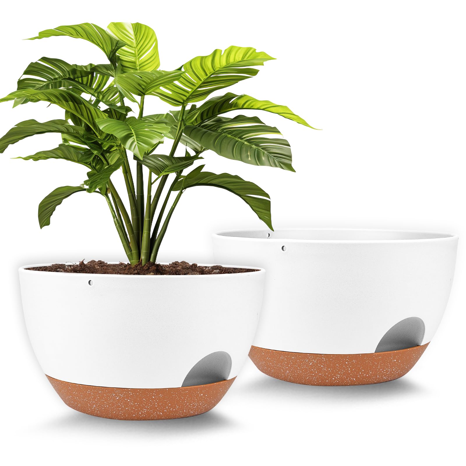 Vanslogreen front view of 12-inch white planter showing clean design and style benefit