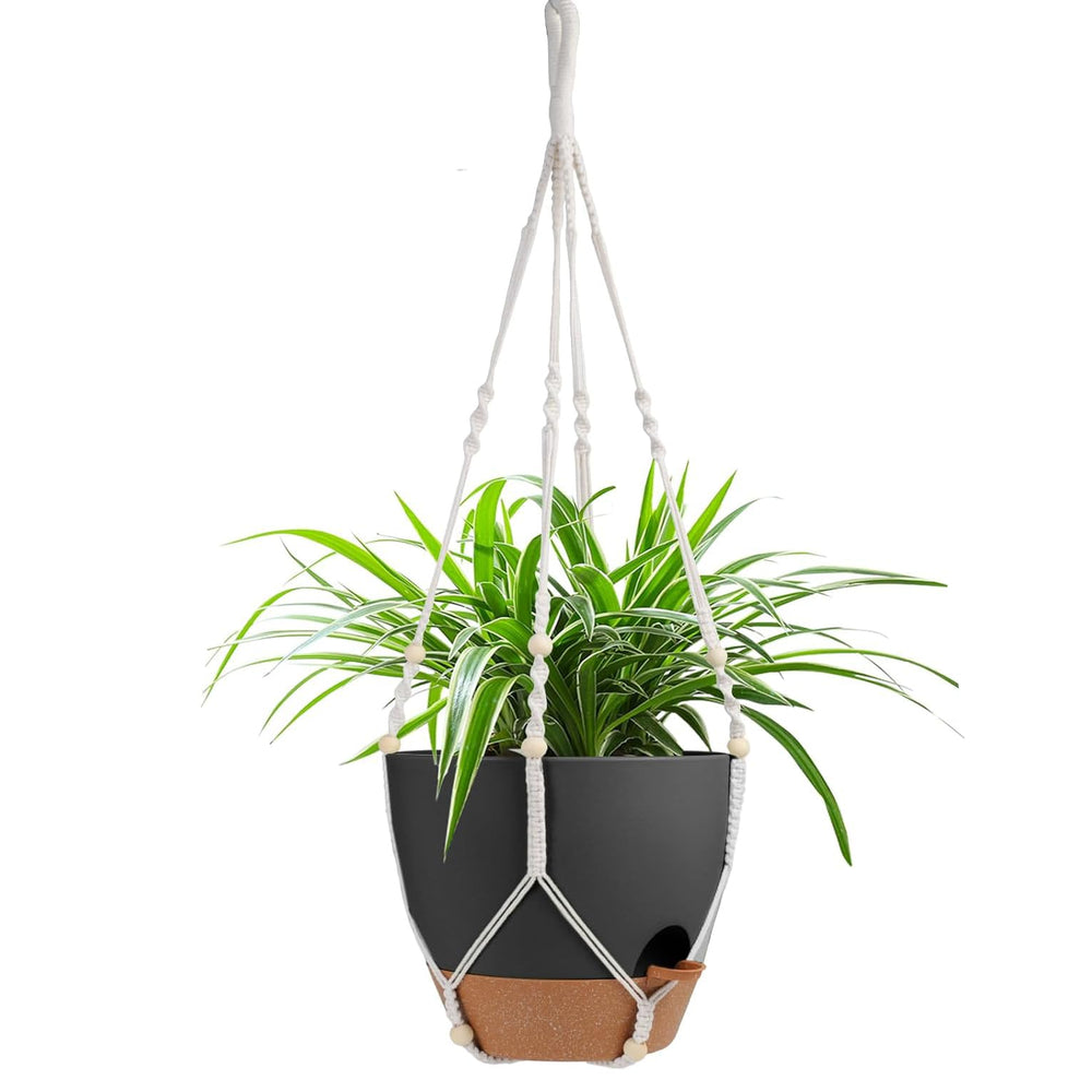 Vanslogreen front view of full hanging planter for instant room greenery