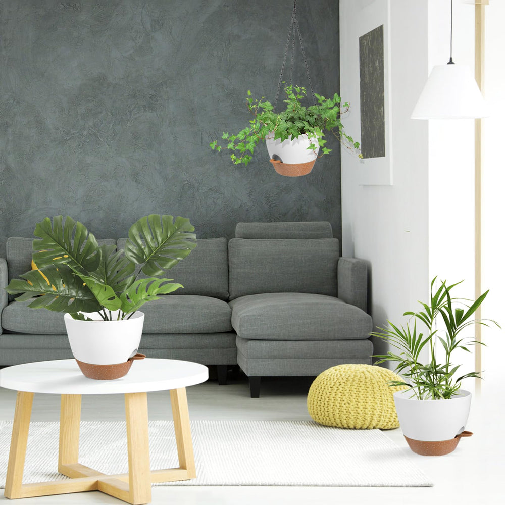 Vanslogreen balcony display with multiple pots demonstrating decorative versatility