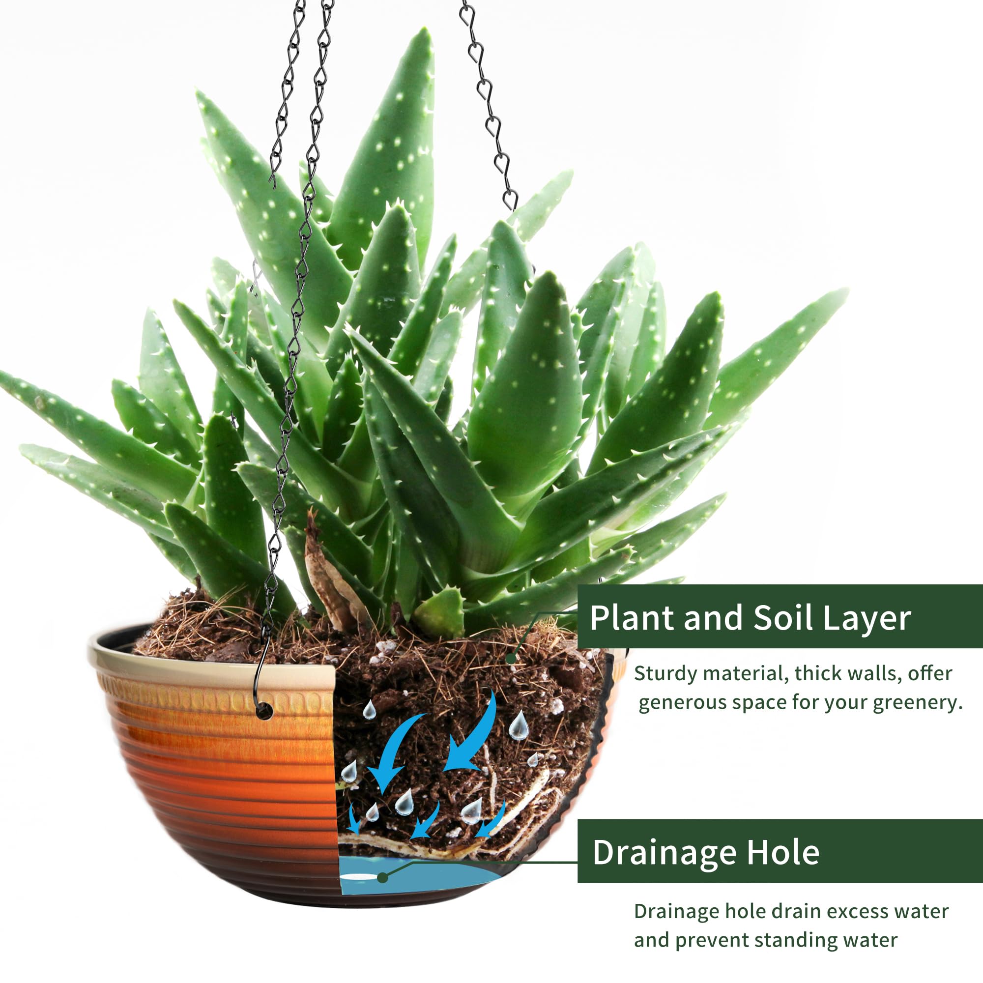 Vanslogreen planted on balcony displaying vibrant plants and space-saving vertical gardening benefit