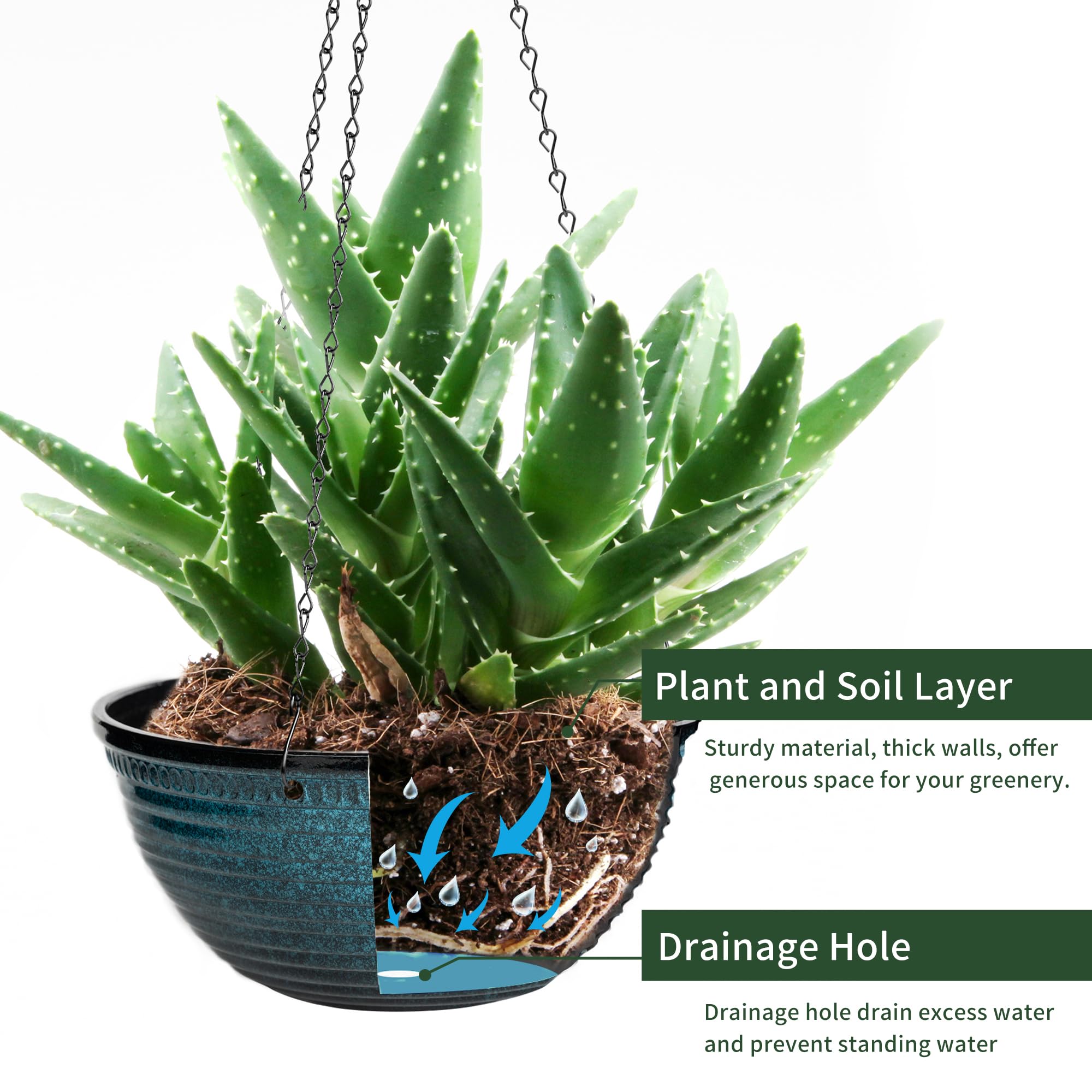 Vanslogreen hanging planter in living room adding vertical greenery and decor appeal