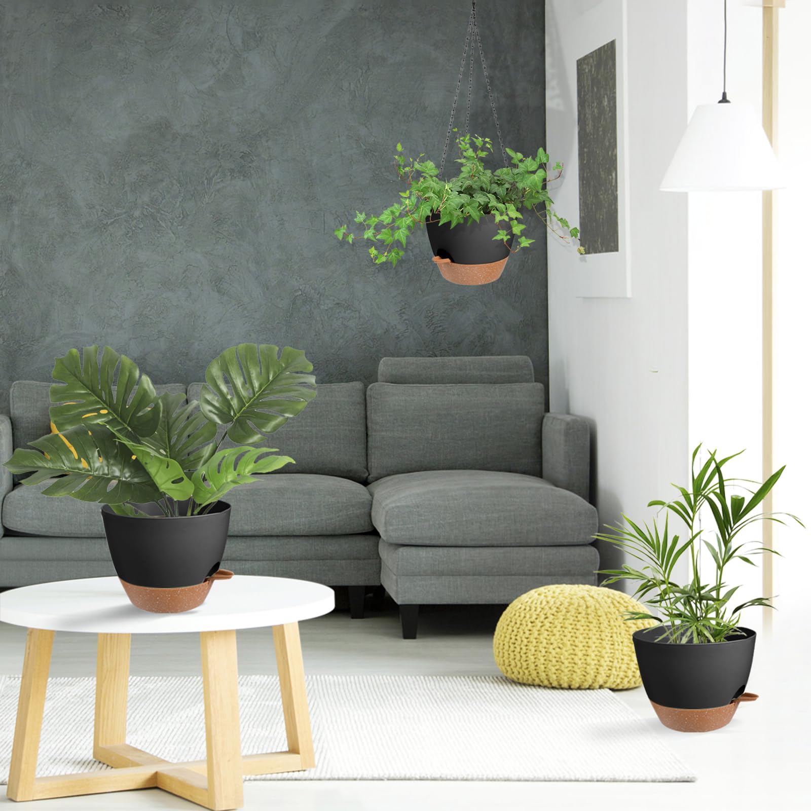 Vanslogreen 12-inch scale photo showing planting depth and correct pot size for medium plants