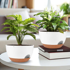 Vanslogreen planter with plant in living room adding decor and low-maintenance benefit