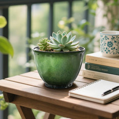 Vanslogreen pot with succulent on windowsill for compact indoor display