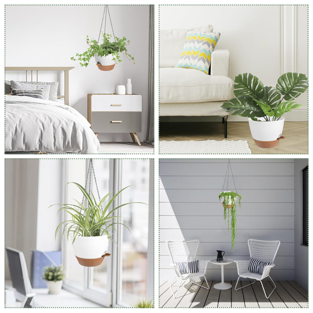 Vanslogreen planter beside common houseplant showing 12-inch scale and fit