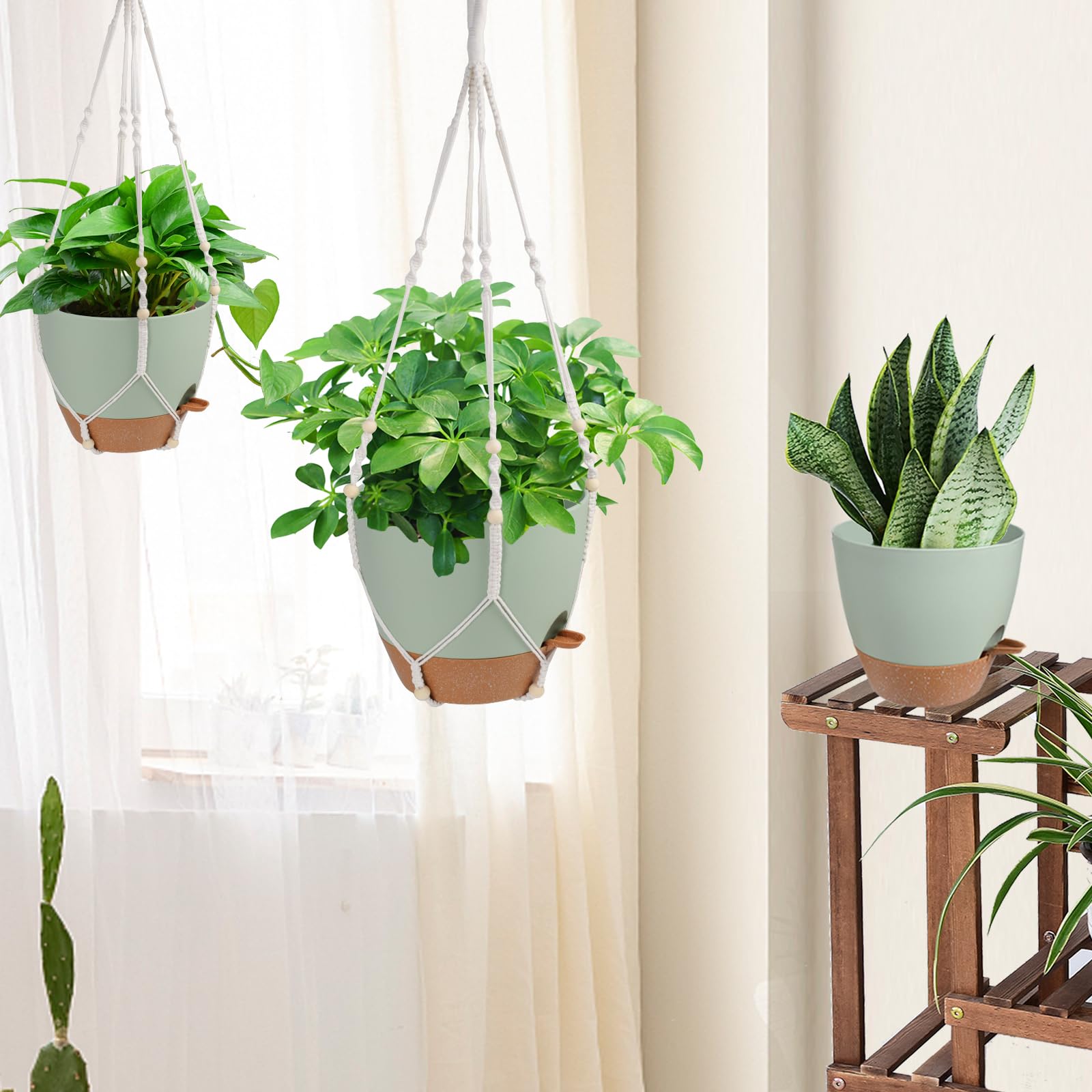Vanslogreen 12-inch pot next to common objects showing true-to-scale sizing benefit