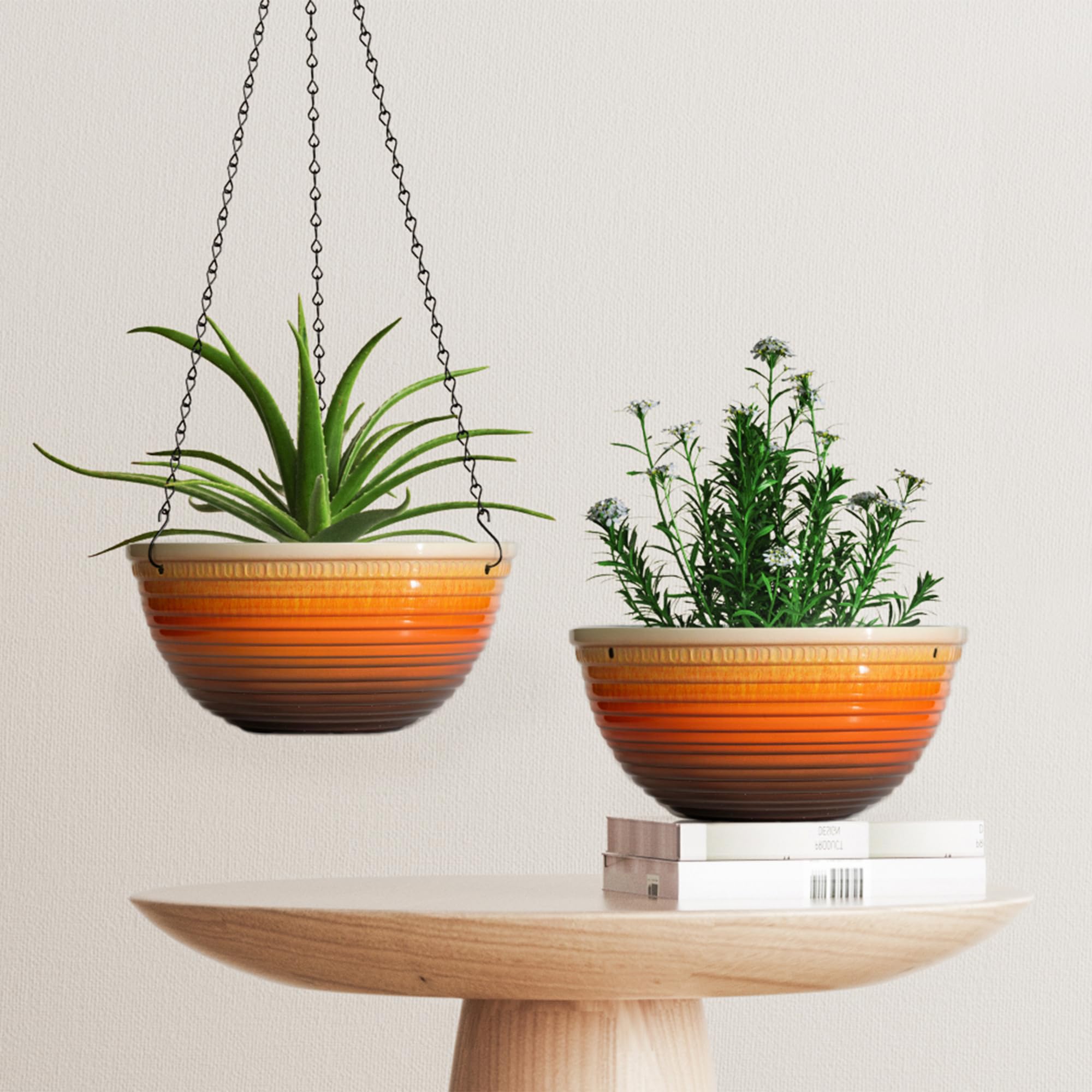 Vanslogreen size comparison with common pot demonstrating 12-inch scale for medium to large plants benefit