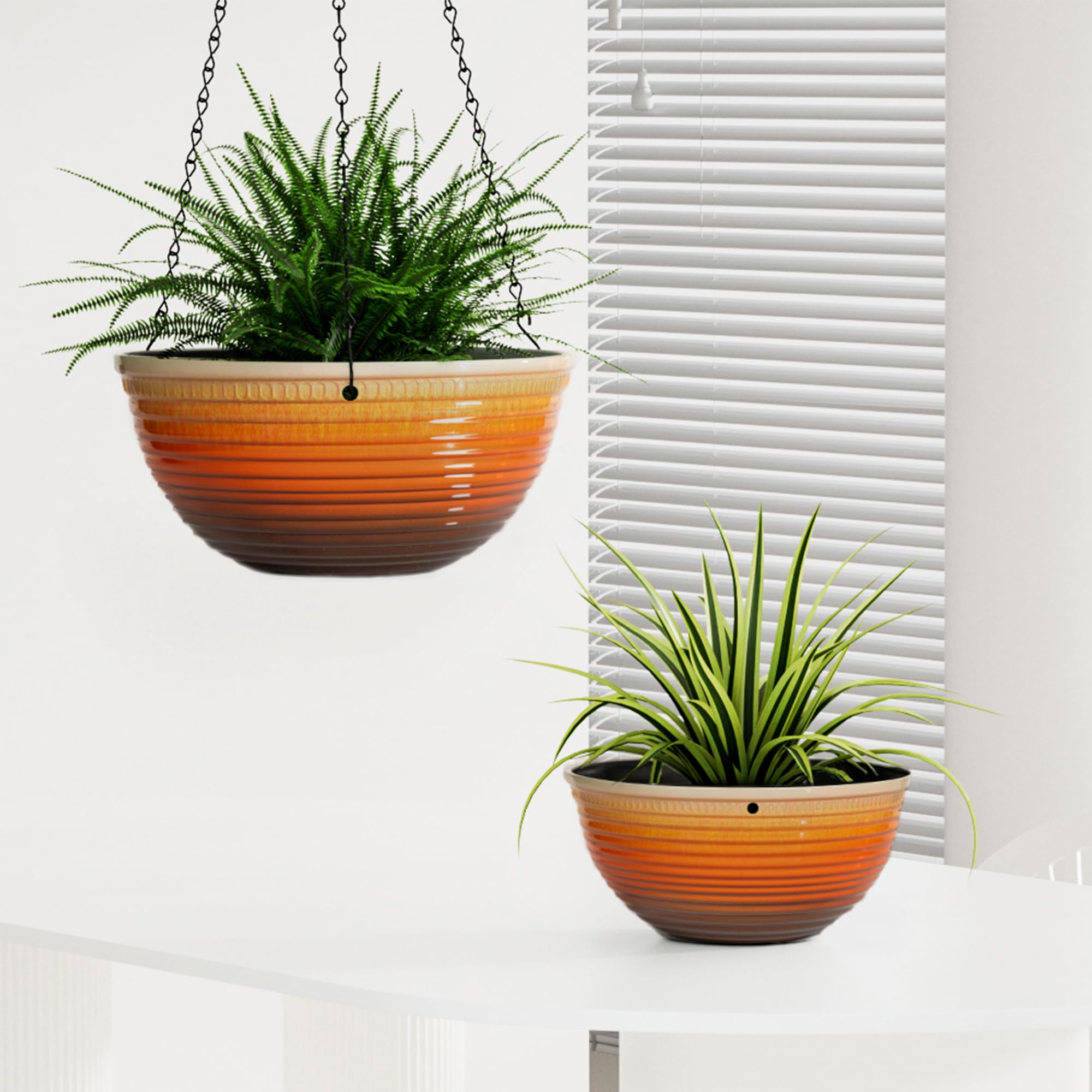 Vanslogreen beside hand showing 10-inch scale for plant planning