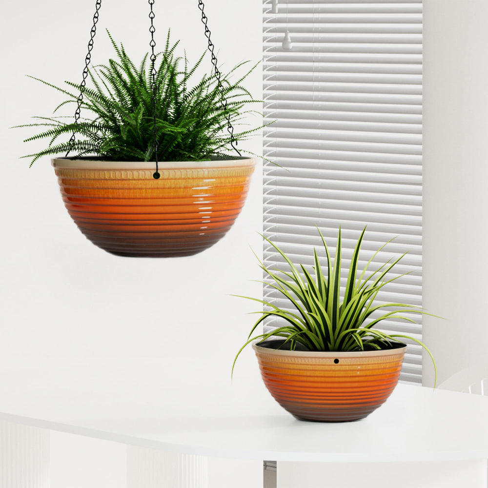 Vanslogreen beside hand showing 10-inch scale for plant planning