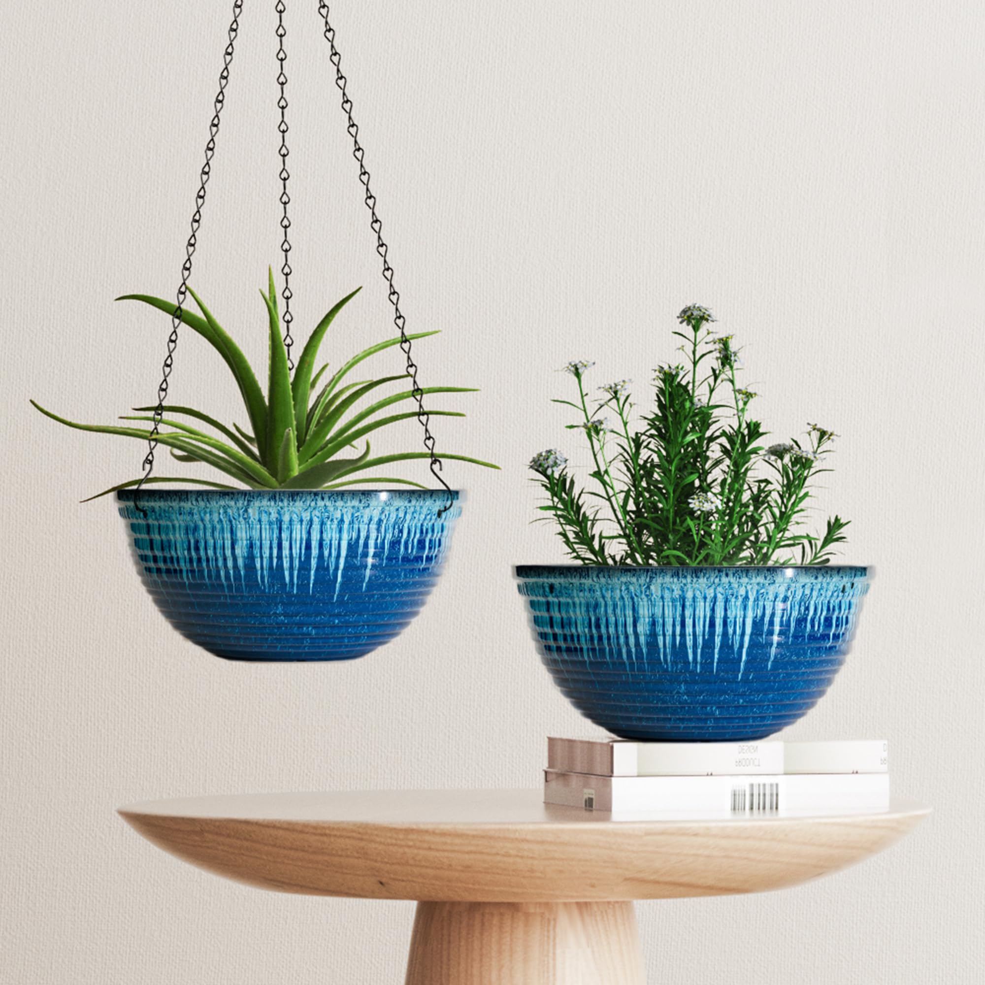 Vanslogreen size comparison with plant showing 12-inch capacity for medium plants