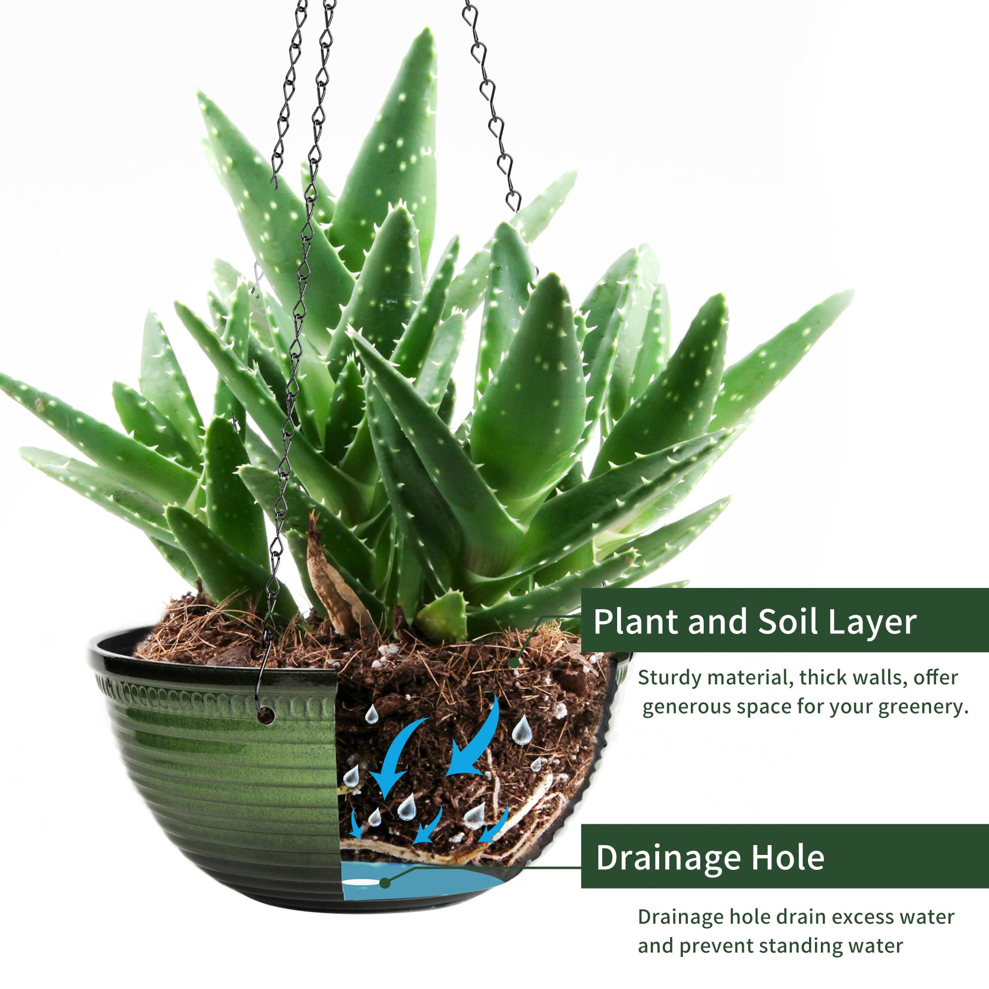 Vanslogreen tabletop display with chain removed showing lightweight portability and scale