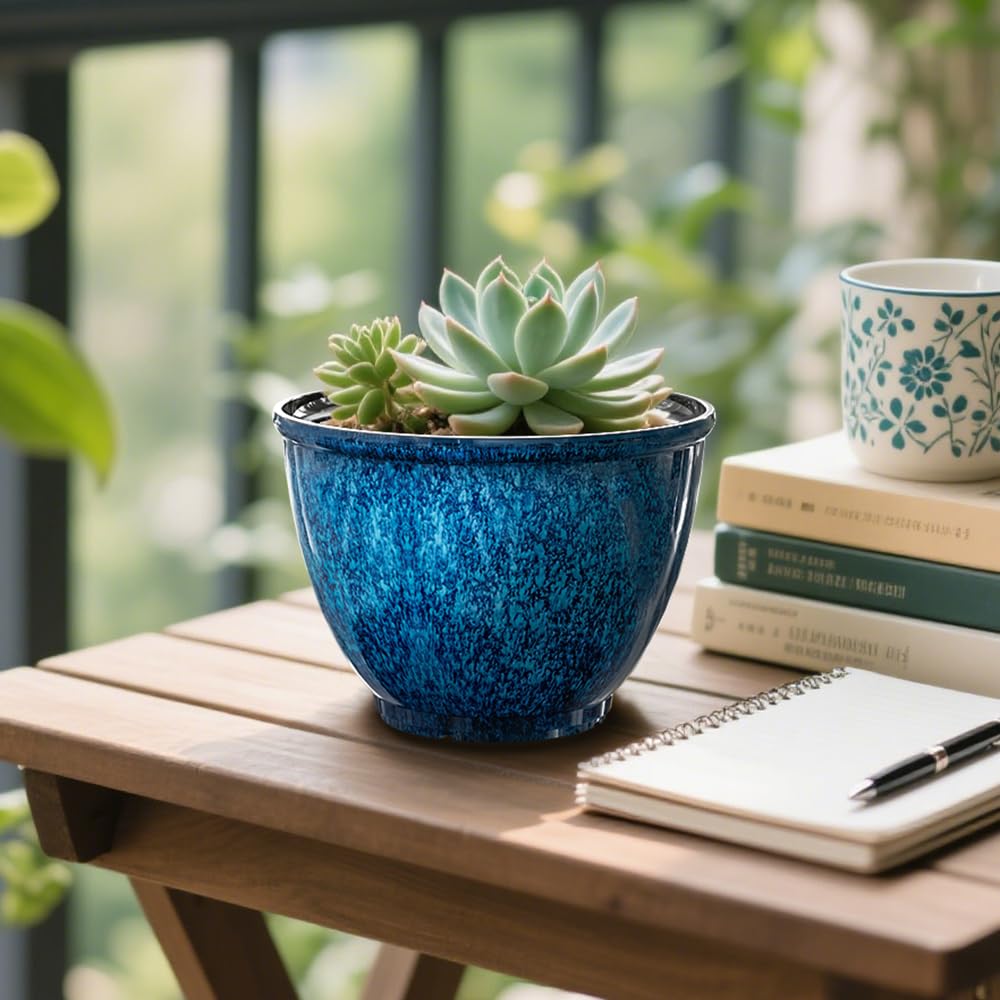 Vanslogreen planted with succulent to show proper fit and healthy display benefit