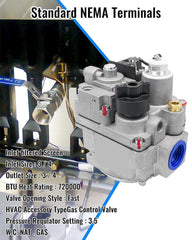 Vaticas 700-506 pilot assembly close-up showing filter and adjustment key