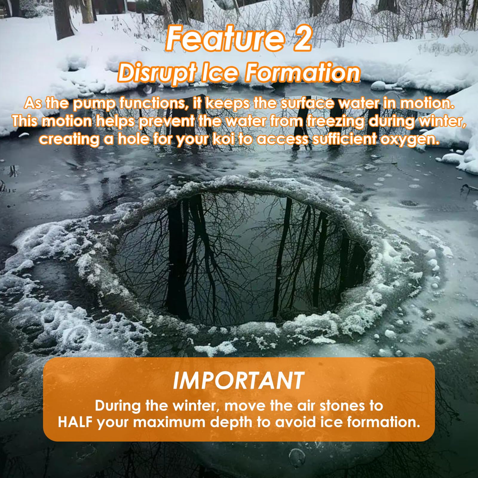 VCRAZE lifestyle backyard pond with aerator running for healthier water