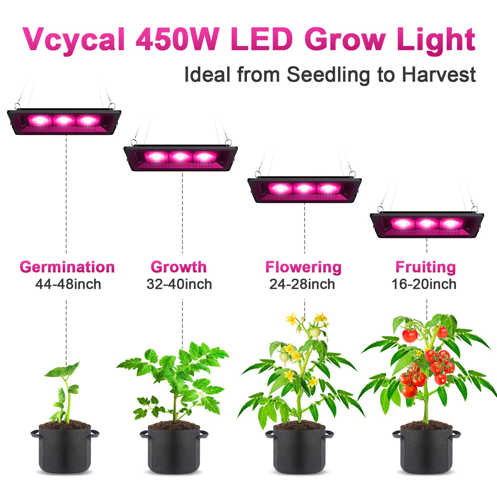 Vcycal close-up of LED array and lenses highlighting efficient photon delivery benefit