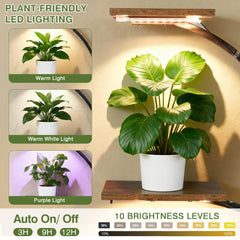 VECELO close-up of natural wood shelf texture highlighting durable finish and water-resistant advantage