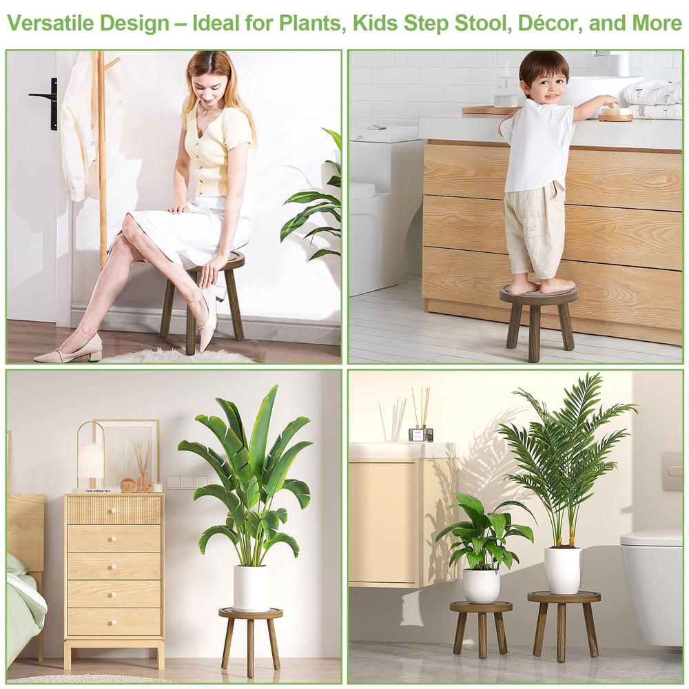 Vecxoty styled in a living room with plants to add layered greenery and decor interest