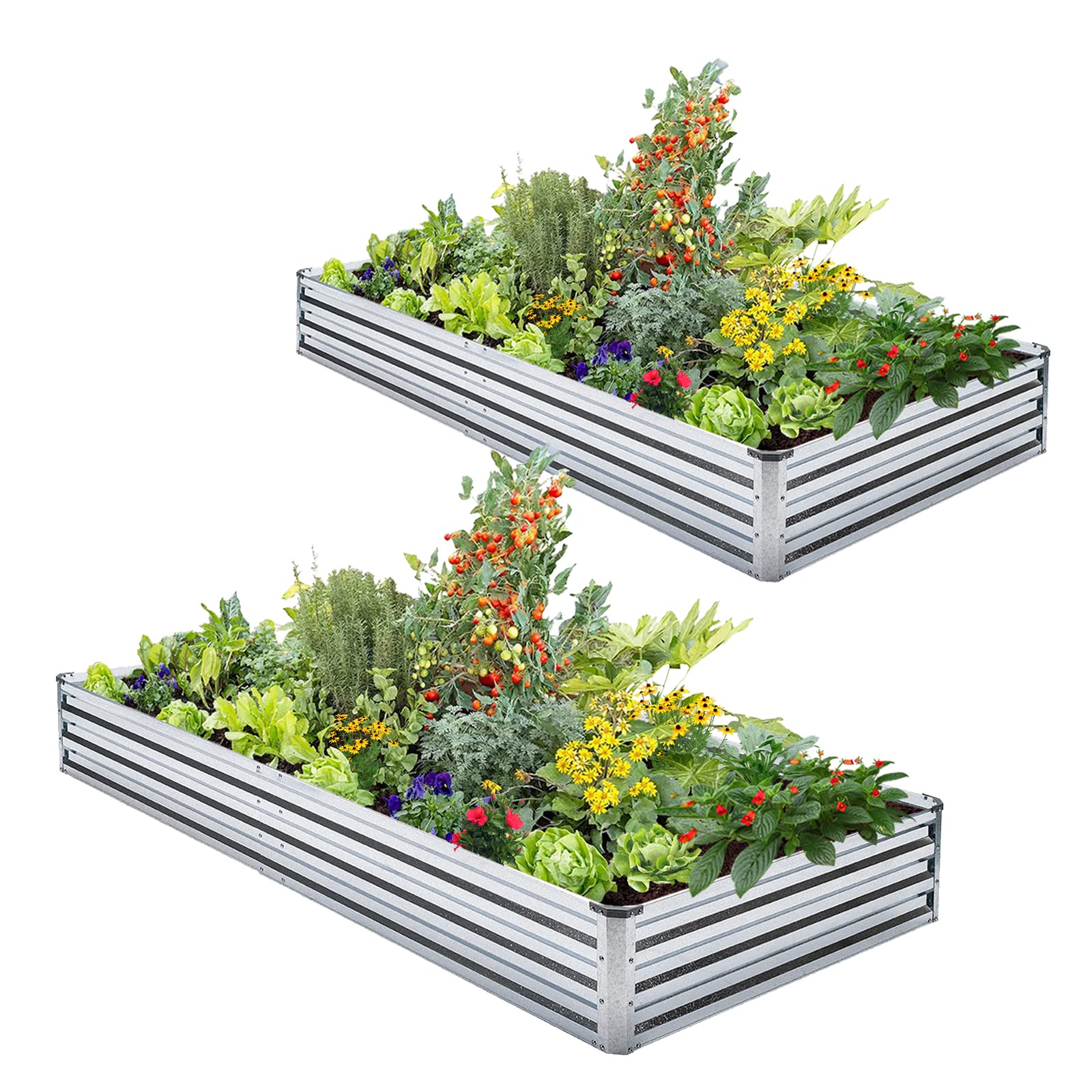Veezyo front view of two assembled raised beds showing durable galvanized finish and neat layout
