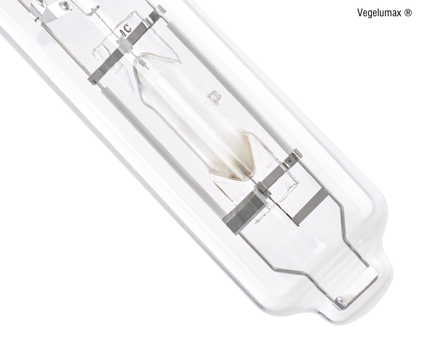 Vegelumax installed in a grow tent lighting a canopy for faster development benefit