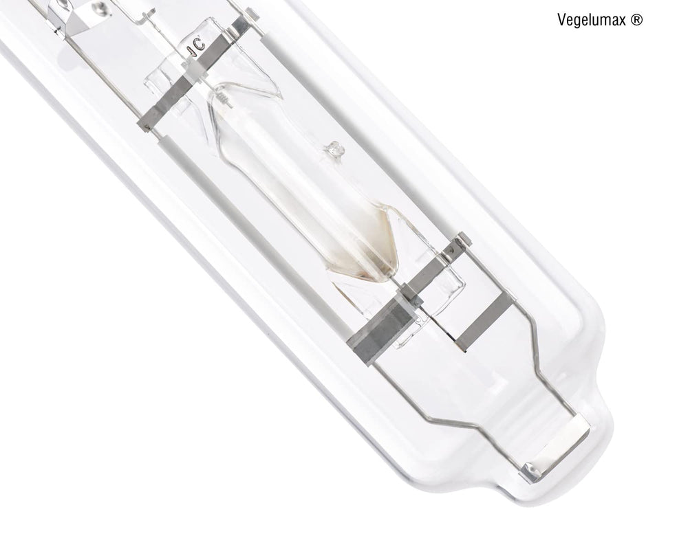 Vegelumax installed in a grow tent lighting a canopy for faster development benefit