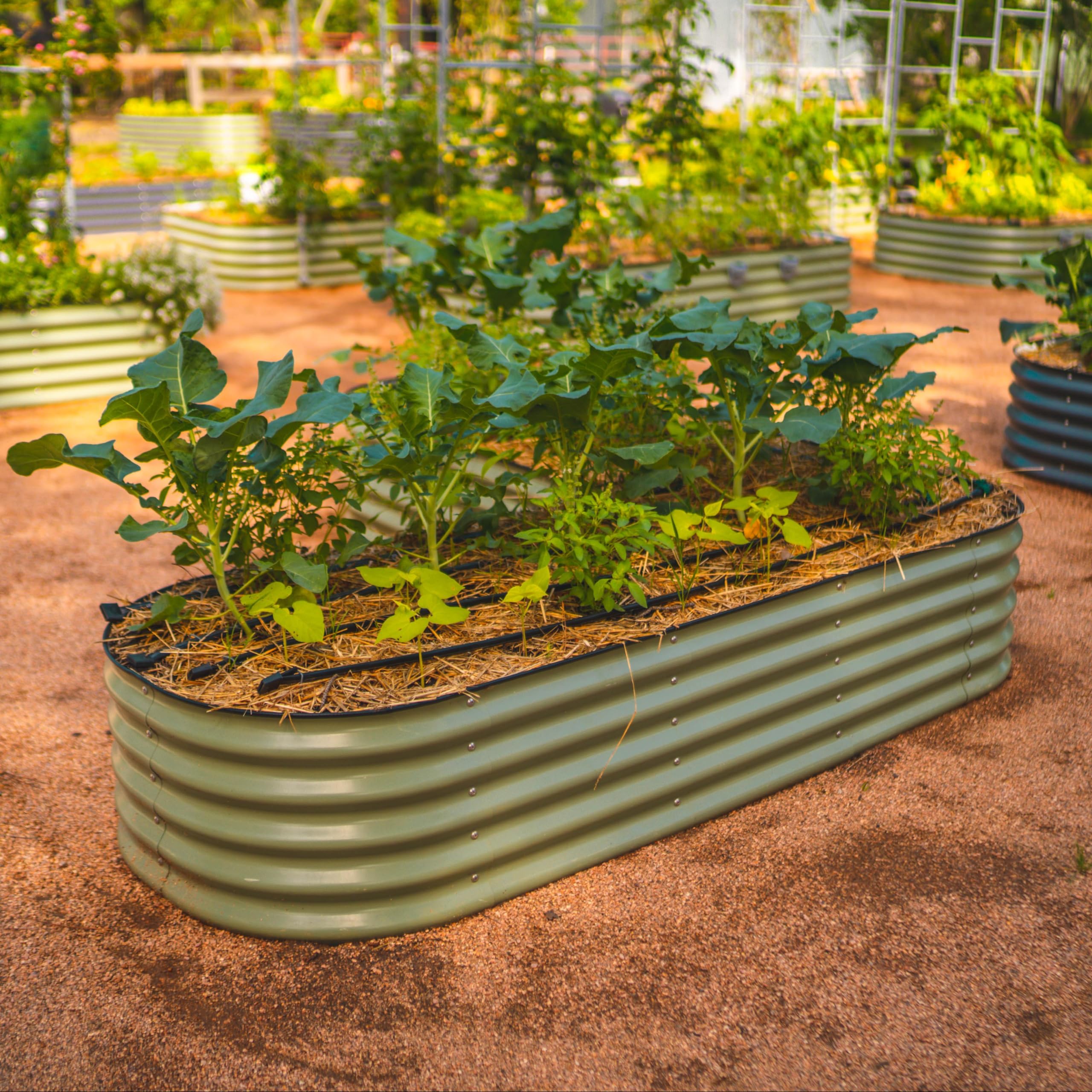 Vego Garden overhead of alternate modular layouts showing flexible configuration benefit