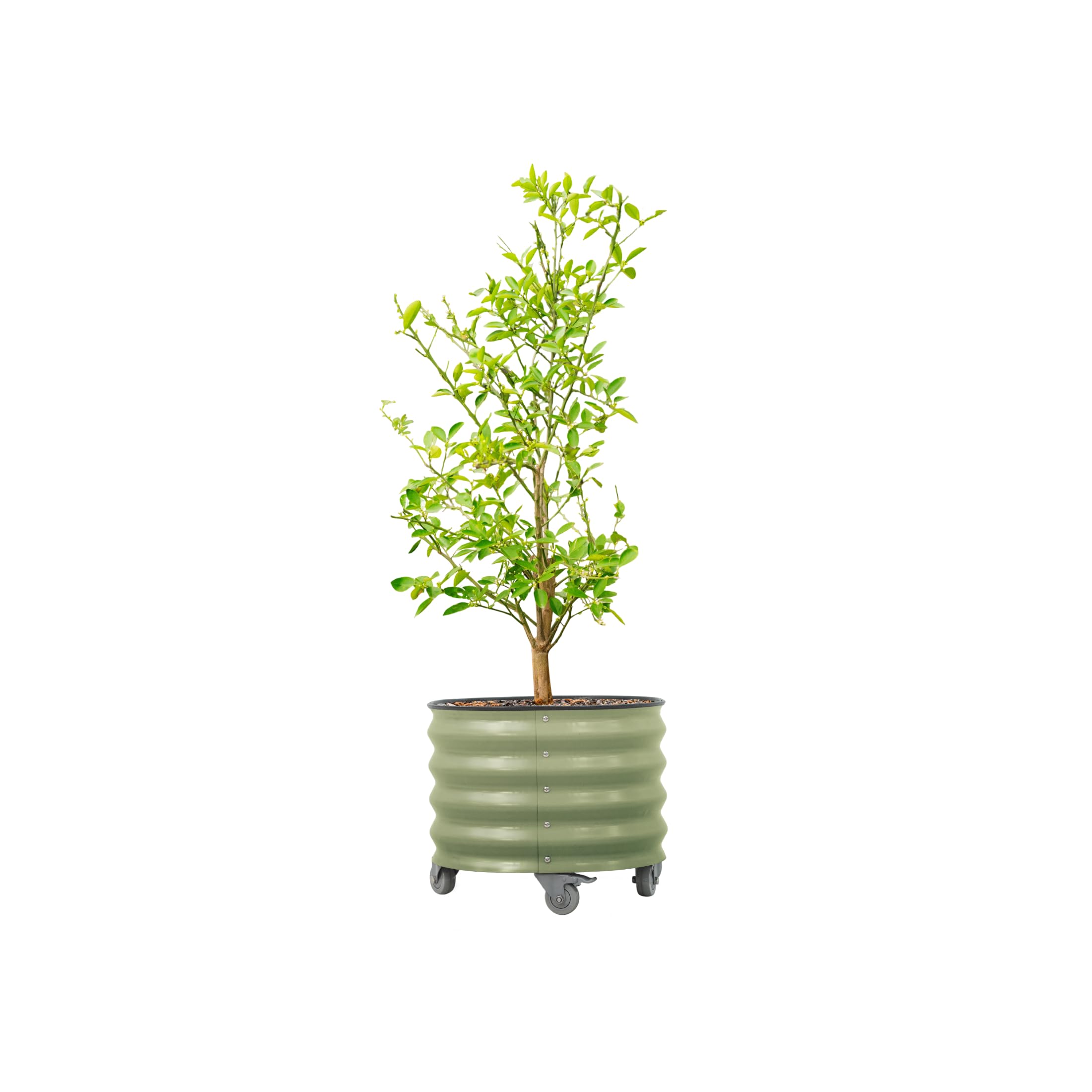 Vego garden front view olive green planter showing sturdy build and style