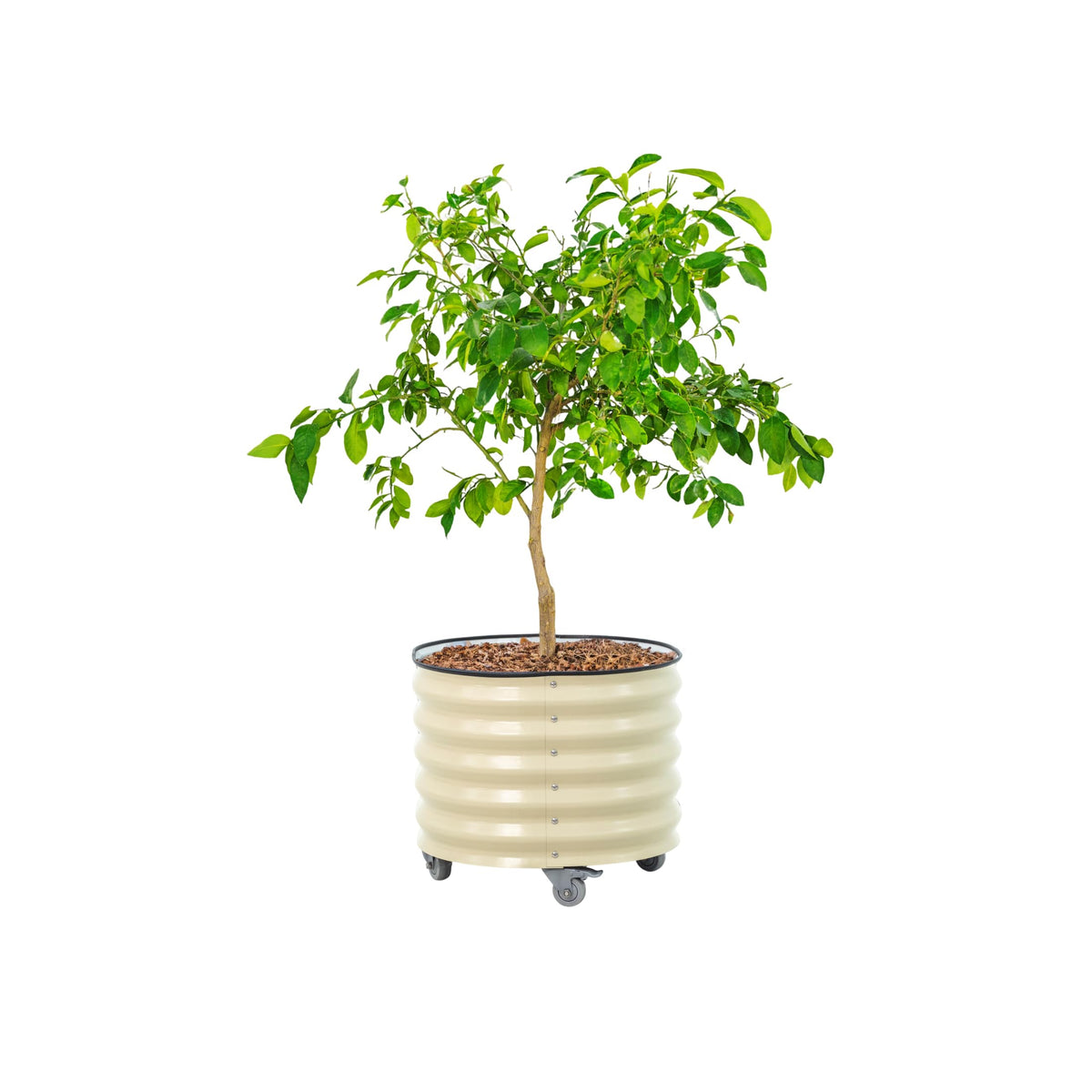 Vego garden front view pearl white planter showing stable base and sleek finish