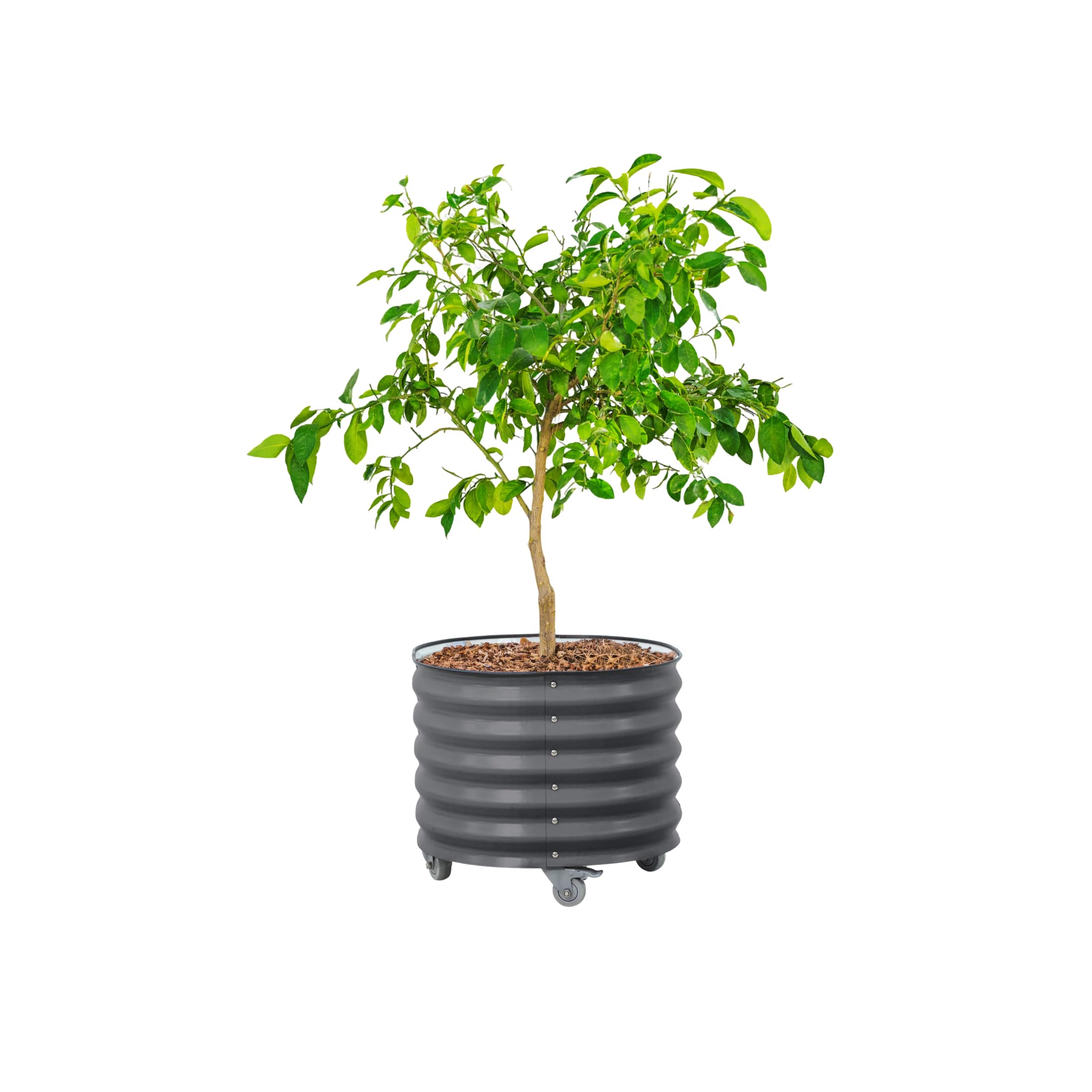 Vego Garden front view planter showing modern gray finish and sturdy build benefits mobility
