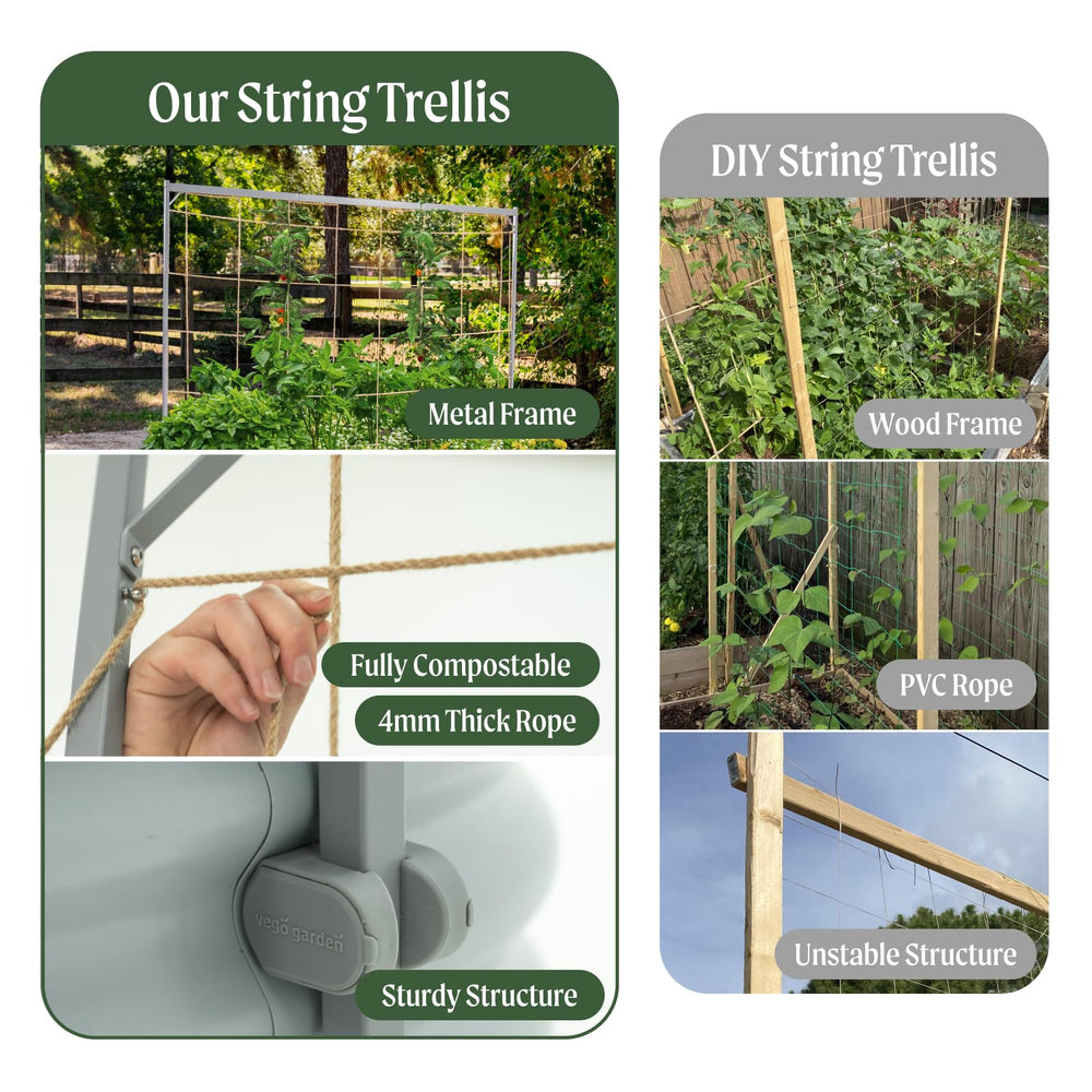Vego Garden trellis supporting mature tomato plants for healthier harvests