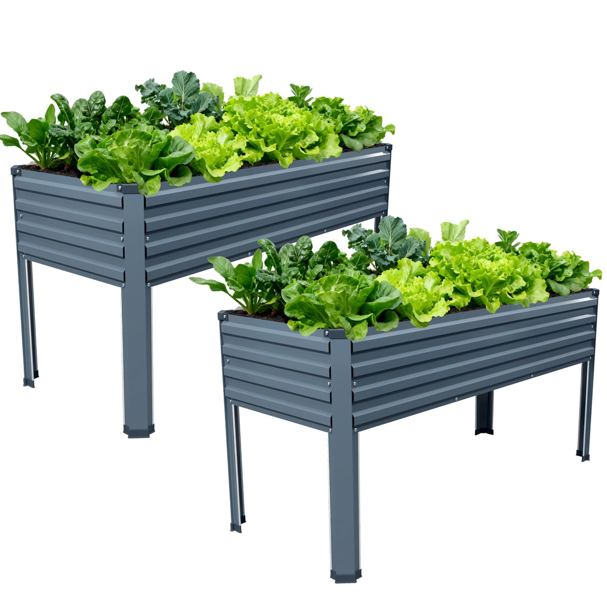 Vengarus front view of assembled raised garden bed set shows durable high work height